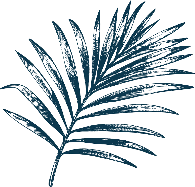 Durabilité et respect de l’environnement